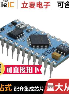 BS2PX24芯片 〔IC MODULE SX48AC 32MHZ 38B 16KB 〕