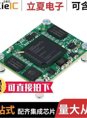 TE0600-03B芯片 〔IC MOD LX100 125MHZ 256MB 〕