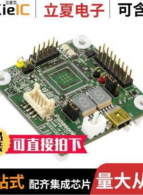 BTPB-101B_MN101EF63G开发板 〔MN101E EVAL BRD 〕