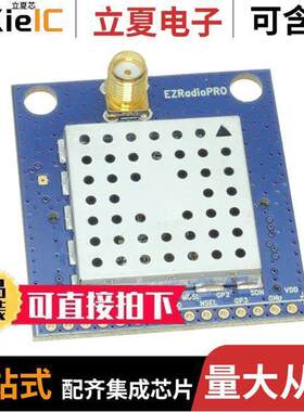 4463CPSQ20D169射频 〔PICO BOARD 169MHZ 〕