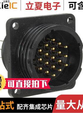 213859-2连接器 〔CONN RCPT MALE 19POS GOLD SOLDER 〕