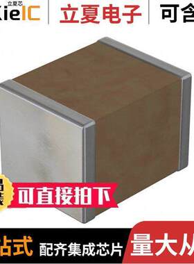 2520B102K502NT电容 〔CAP CER 1000PF 5KV X7R 2520 〕