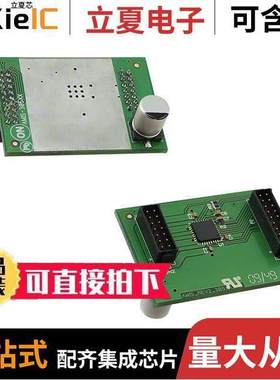 AM305421R1DBGEVB开发板 〔BOARD DAUGHTER LIN STEP DVR NQFP 〕