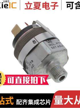 P119G-10H-C52TB-DIS  Whitman Controls, LLC