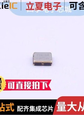 SG-8101CG 33.330000MHZ TCHSA/SG-8101CA 125.000000MHZ TBGSA