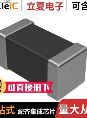 NFZ03SG162SN10D滤波器 〔FERRITE BEAD 1.6K OHM 0201 1LN 〕