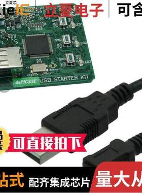 DM330012开发板 〔DSPIC33E USB STARTER KIT 〕