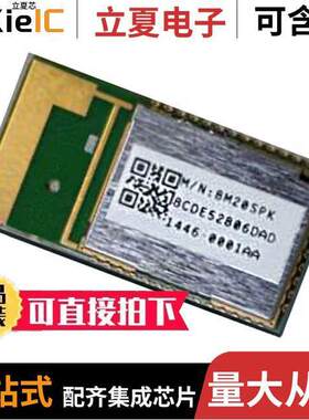 BM20SPKA1NBC-0001AA射频 〔RF TXRX MODULE BT TRC ANT SMD 〕