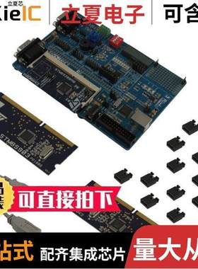 STM8/128-SK/RAIS开发板 〔RAISONANCE REVA STM8S/ST7 EVAL 〕