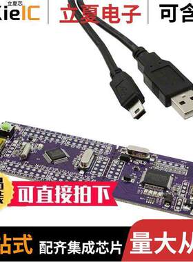 NT-NUC122S开发板 〔NUC122 EVAL BRD 〕