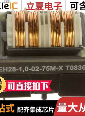 EH28-1.0-02-75M-X  Schaffner EMC Inc.