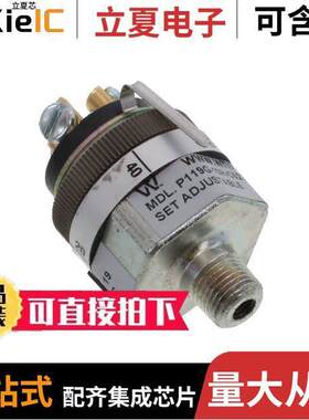 P119G-10H-C52TS-DIS  Whitman Controls, LLC