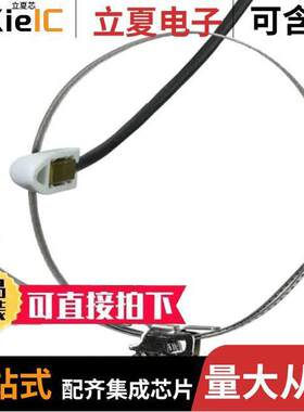 SN183E传感器，变送器 〔PTS350A-10/E, TEMP PROBE  10 M 〕