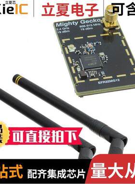 SLWRB4170A射频 〔DUAL BAND RADIO BOARD 〕