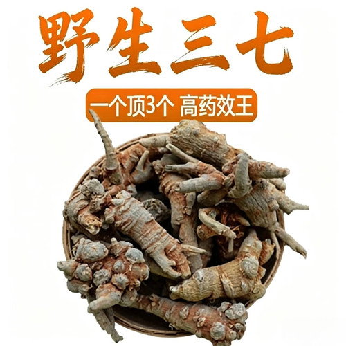 正品云南文山野生田七头三七粉防野生三七头500g