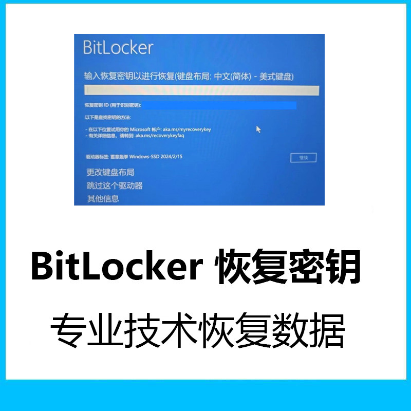 Bitlocker解密移动硬盘数据恢复U盘内存sd卡照片文件误删修复损坏