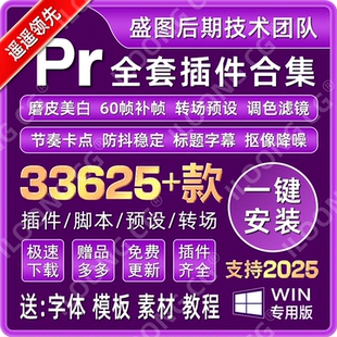 Pr插件全套合集一鍵安裝 2025Win 調色轉場字幕降噪磨皮特效中文版