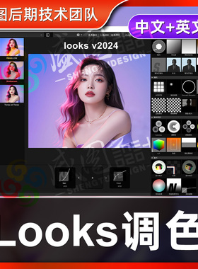 PR AE插件looks红巨星MagicBullet2025套装中文版调色电影滤镜win