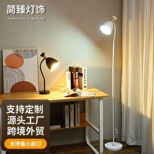 风高级网红书房卧室落地灯感钓简约台灯落地灯insled客厅台灯氛围