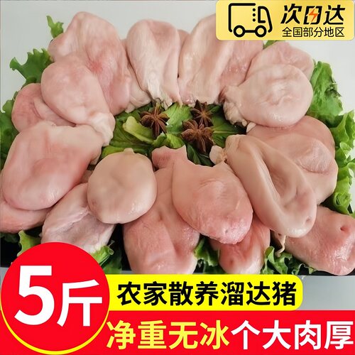 大海十三散养土猪新鲜猪肚5斤装
