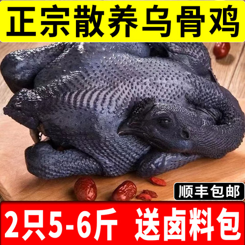 乌骨鸡新鲜现杀土鸡农家散养活鸡五黑鸡生鲜冷冻黑土鸡一整只顺丰