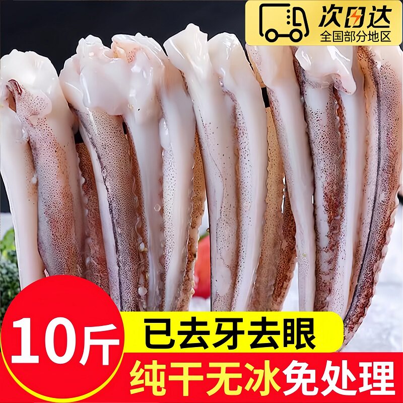 万人抢纯干冷冻鱿鱼须烧烤批发