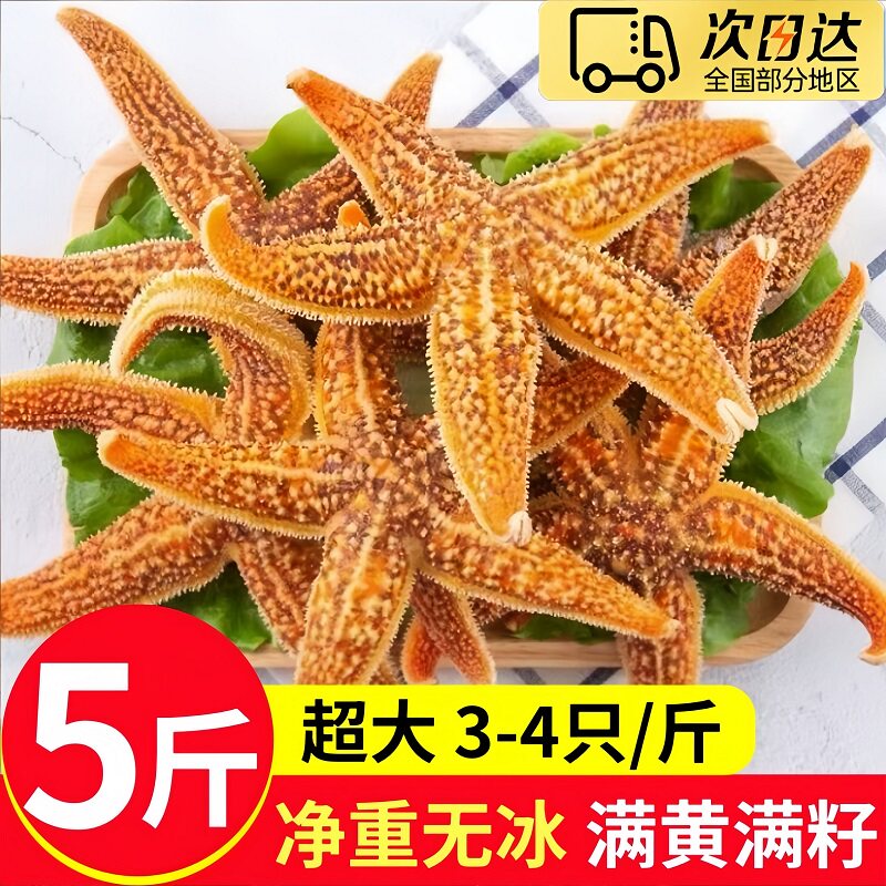 大海十三速冻满籽野生海星5斤