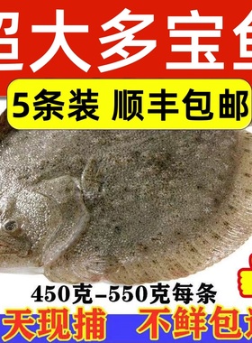 多宝鱼鲜活冷冻比目鱼特大鸦片鱼鲽鱼海鲜水产整条菱鲆鱼海鱼商用
