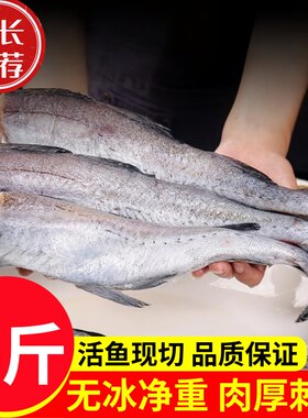 5斤去头去内脏新鲜冷冻鳕鱼整条