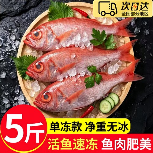海捕红目鲢鱼生冻无冰5斤装
