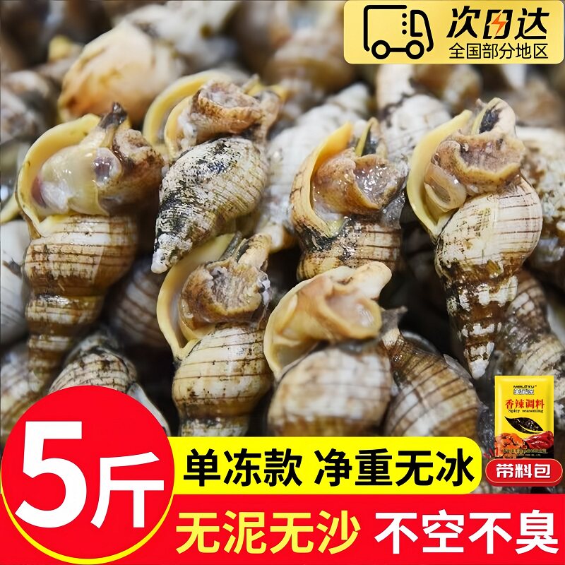 限时特价5斤红枣螺新鲜冷冻水产