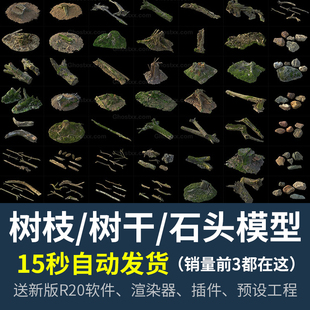 树墩 石头C4D模型材质纹理贴图三维素材 树干 56个森林中树木树枝