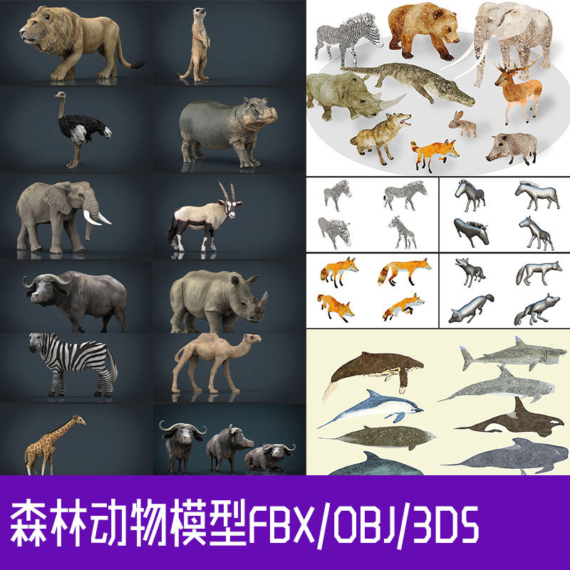 C4D非洲鱼类家禽海洋动画卡通森林动物FBX OBJ 3DS模型素材 MX045