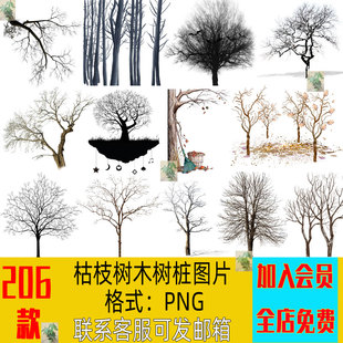 PS水墨风树木枯枝树桩雪树背景树枝干枯枯树插图PNG免抠图片素材