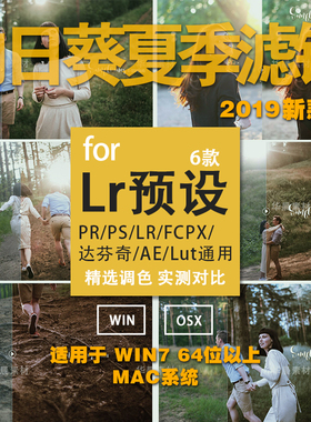 夏季向日葵LR预设人像调色PRPSFCPX达芬奇AELUT滤镜摄影后期素材