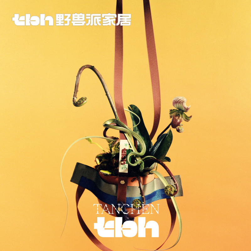 tbh野兽派家居悬浮花盆