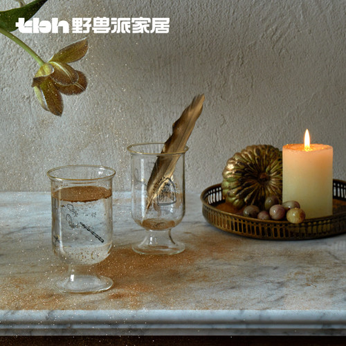 tbh野兽派家居玻璃对杯家用水杯