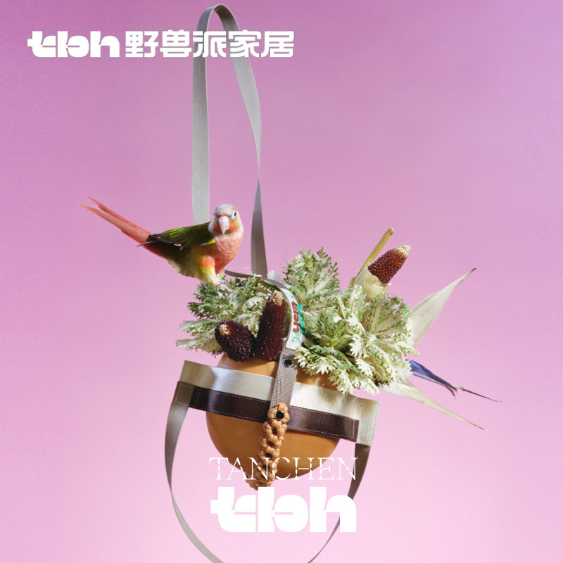 tbh野兽派家居悬浮花盆