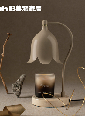 tbh野兽派家居融蜡灯郁金香礼物