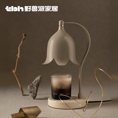 tbh野兽派家居融蜡灯郁金香礼物