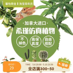 希瑾爬虫宠雨林缸造景仿真植物睫角守宫鬃狮蛇饲养箱绿植装饰龟背