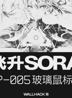 WALLHACK沃哈克SP005飞升SORA钢化玻璃鼠标垫电竞游戏FPS专用大号