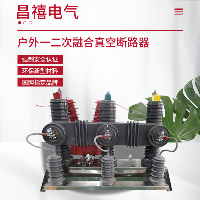 昌禧ZW32一二次融合高压真空断路器智能10KV户外柱上分界开关包邮