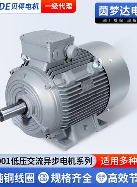 茵梦达1LE0001低压交流异步电动机INNOMOTICS铸铁三相异步电动机
