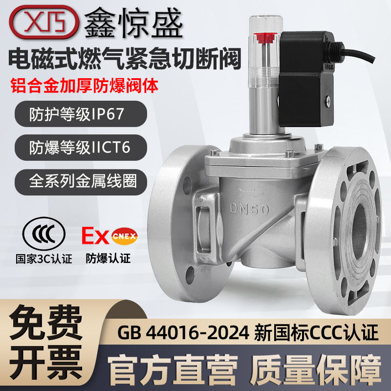 工业商用餐饮饭店电磁式燃气紧急切断阀液化气天然气管道自动切断