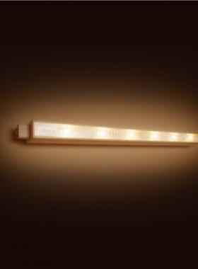 飞利浦LED支架灯hue系列智能照明支架灯家用长条led灯管睿恒