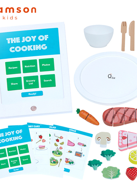 Teamson 小厨师牛排益智切切乐 绝版特价品！售完不补！