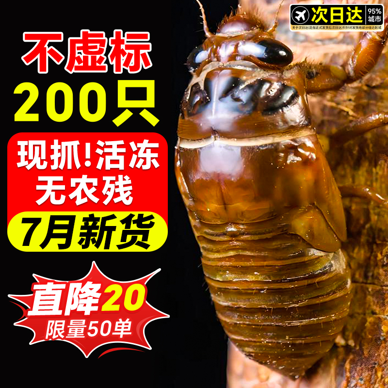新货超大个亏本冲200只仅209元
