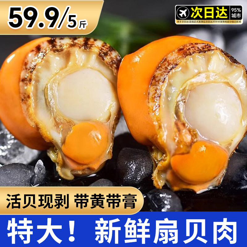 扇贝肉新鲜冷冻带黄鲜活特大号海鲜水产红贝特级蒜蓉粉丝商用