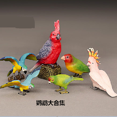 PL127-900认知仿真野生动物模型玩具 鸟类凤头鹦鹉金刚鹦鹉摆件
